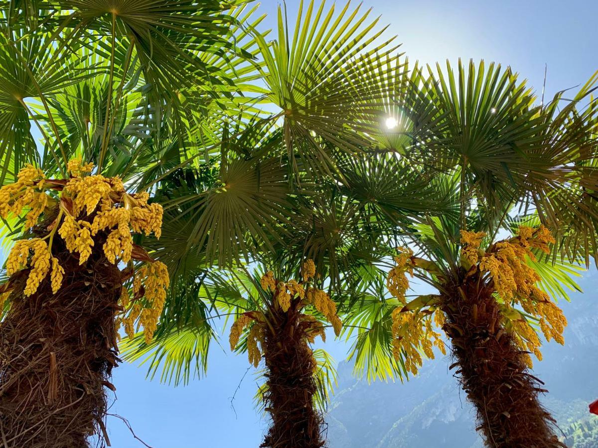 Albola Suite Holiday Apartments Riva del Garda Ngoại thất bức ảnh